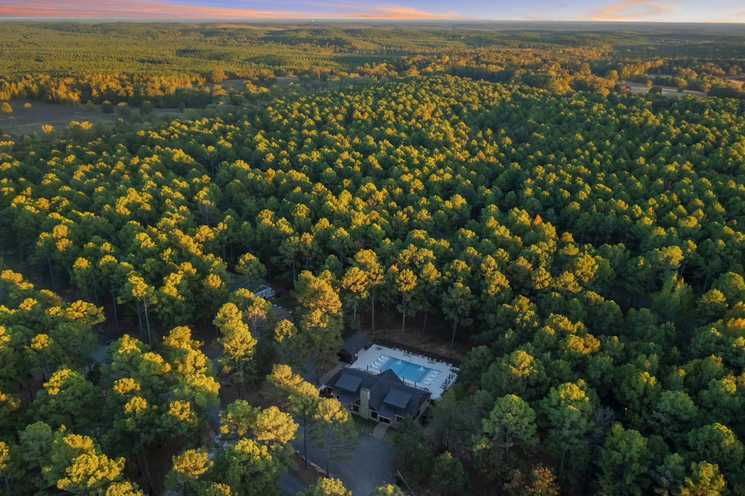 Aerial view over the wooded lots and pines at Three Creeks Reserve