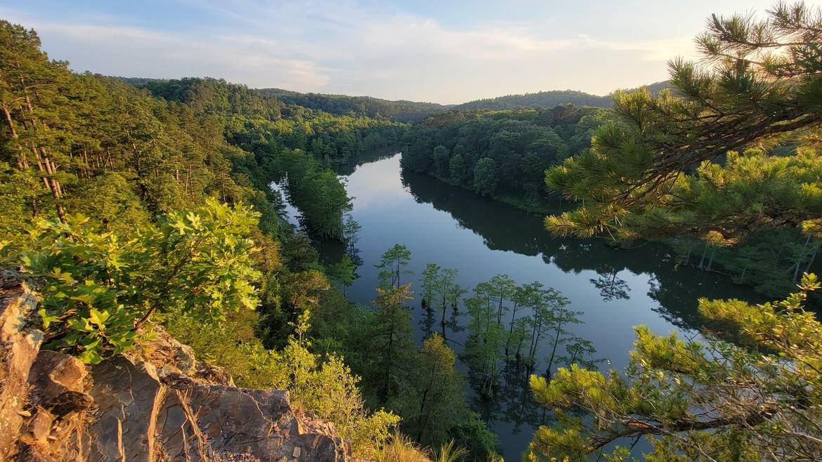 Mountain Fork River winding through pine forest seen from an overlook in Beavers Bend State Park