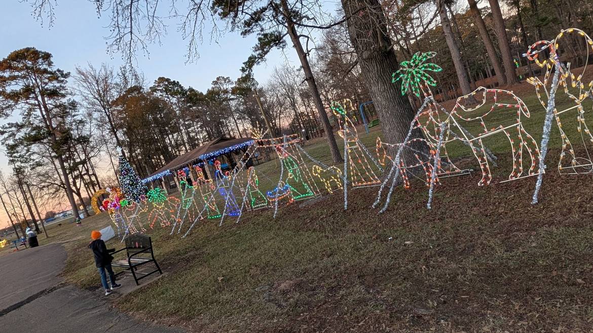 Light displays shaped like animals at Winter Wonderland in Broken Bow City Park